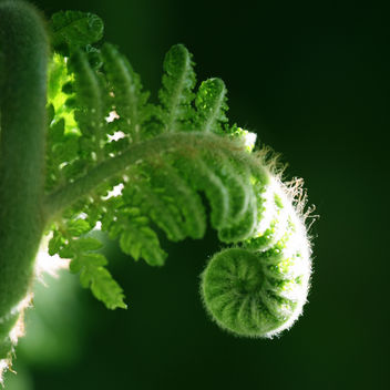 His Fingerprints - Kostenloses image #278207